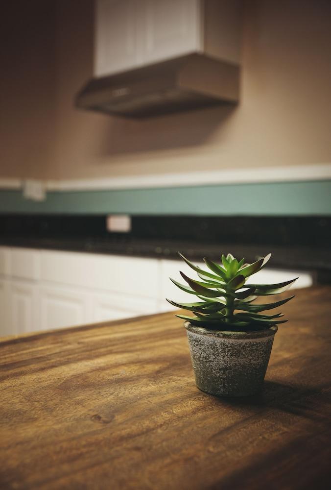 Melrose Hostel (Adults Only) Los Angeles Esterno foto